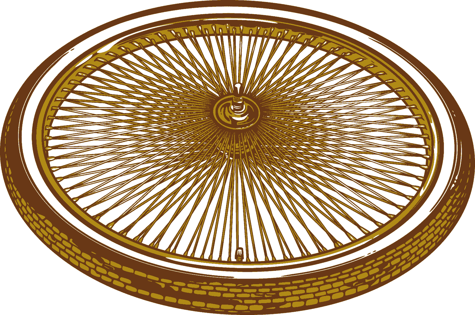 BMX wheel drawing